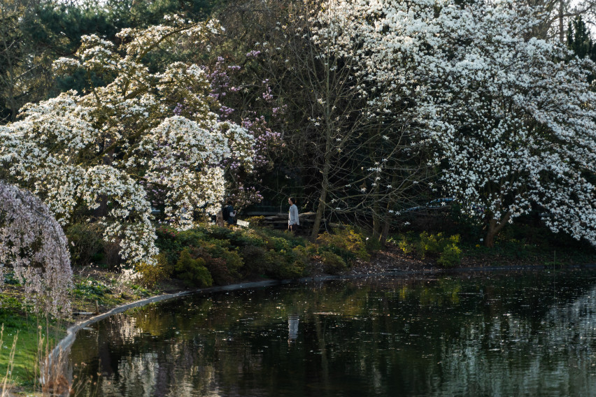 lente-plantentuinc-martin-corlazzoli