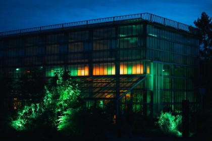 palmarium-donker-plantentuin-martin-corlazzoli palmarium-donker-plantentuin-martin-corlazzoli