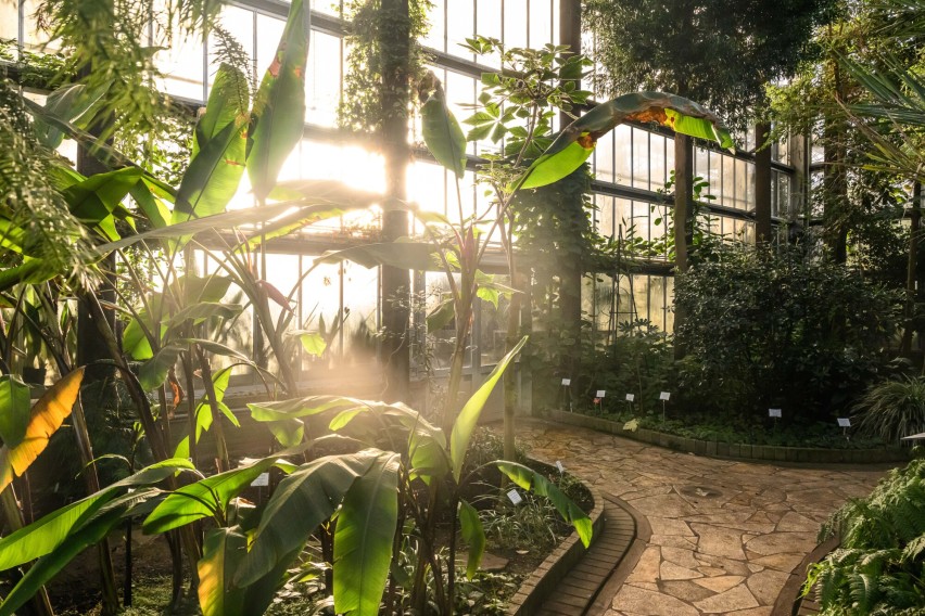 jardin-botanique-cr-visit-gent