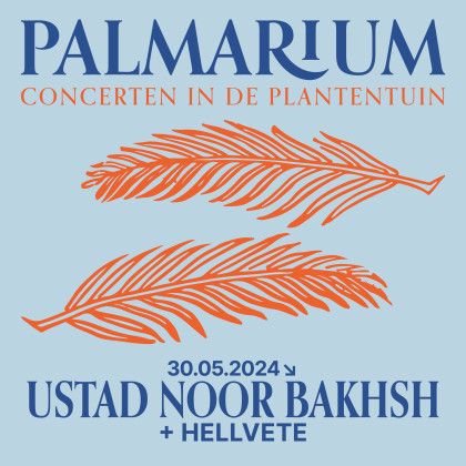 palmarium-square5