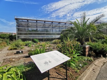 infoborden-plantentuin-1