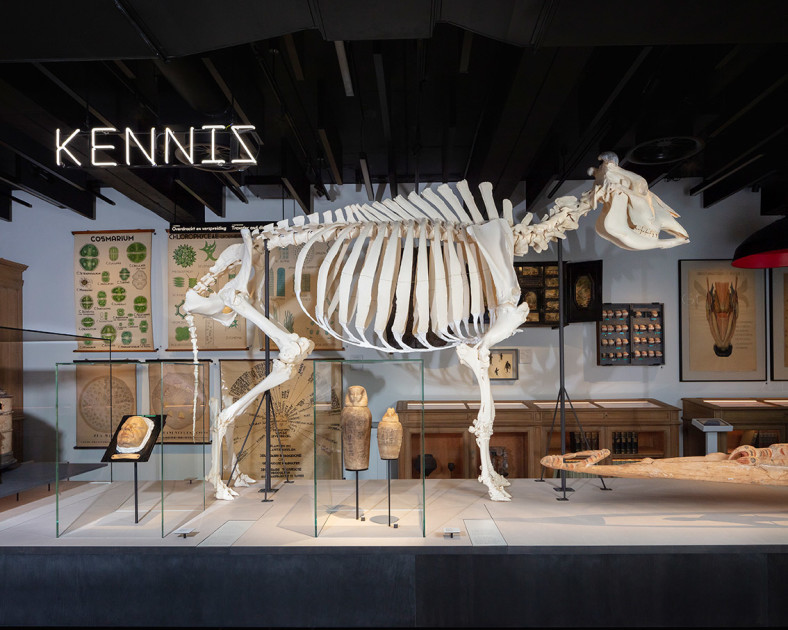 kennis-gum-gents-universiteitsmuseum