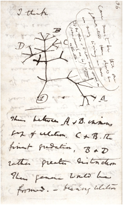 darwin-tree-of-life