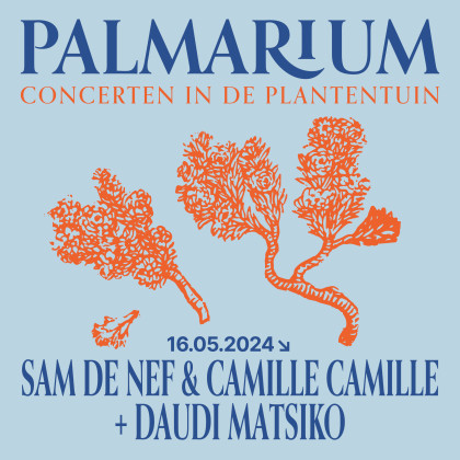 palmarium-square3