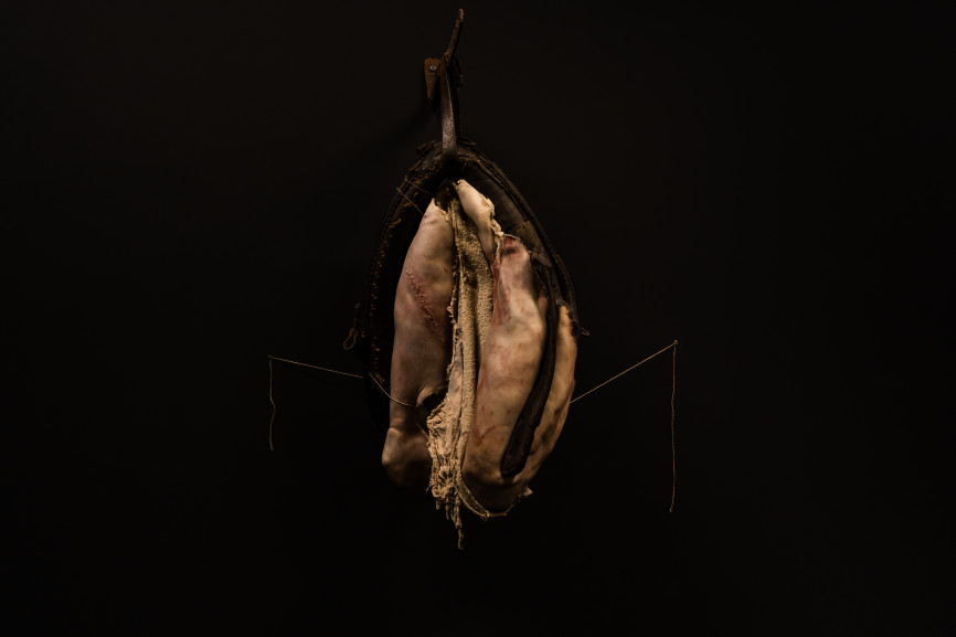 20220321-gum-phallus-c-martin-corlazzoli-55