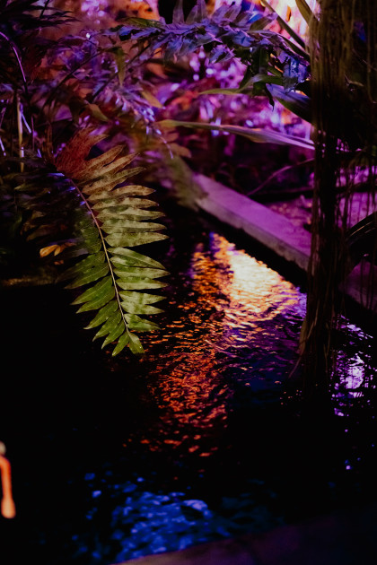 gummuseumnacht25-vervennejulie-106