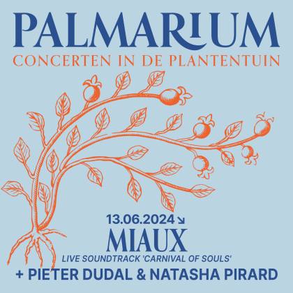 palmarium-square7