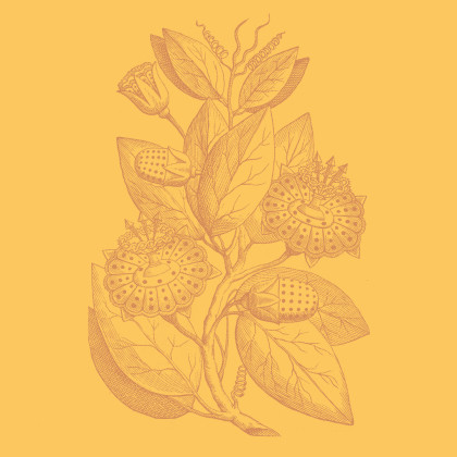 icon-demo-website-1080-x-1080