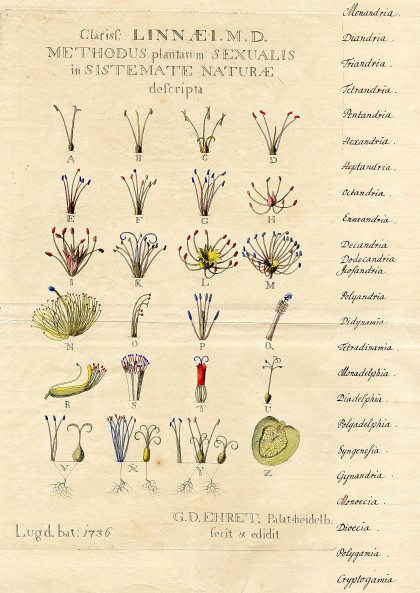 plantentuin-themarondleiding-voortschrijdendinzicht plantentuin-themarondleiding-voortschrijdendinzicht