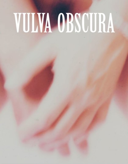 inline-boekcover-vulva-obscura inline-boekcover-vulva-obscura