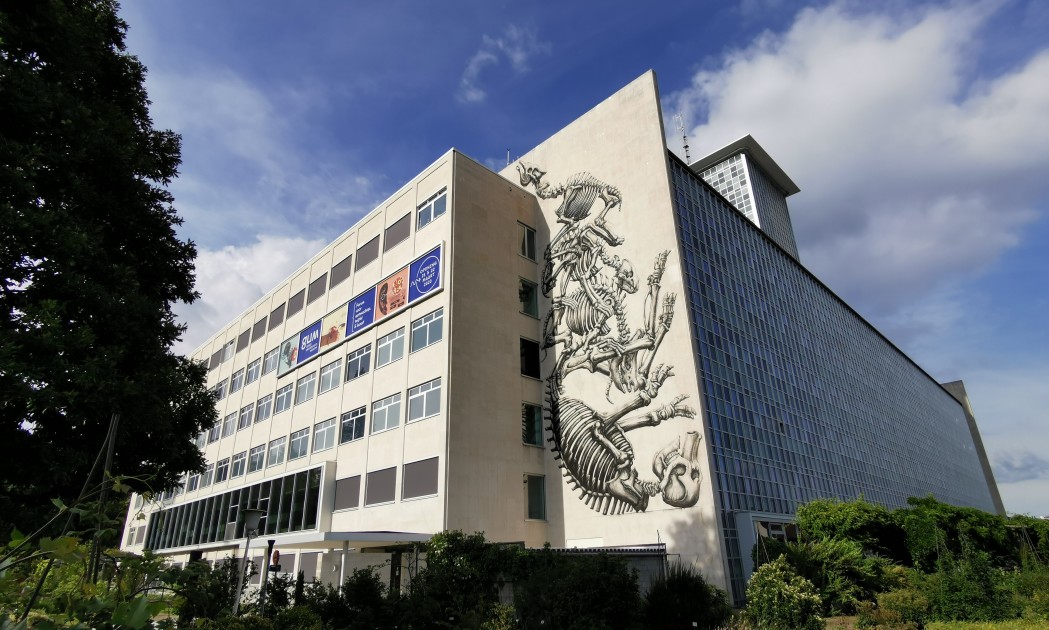 roa-werkt-indrukwekkende-muurschildering-af-in-gent-gum-gents