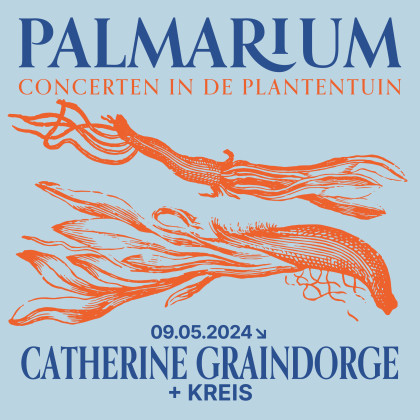 palmarium-square2